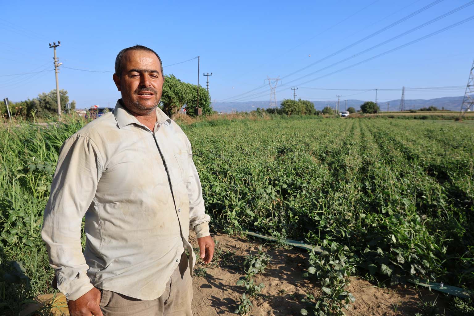 Aydın’da Çiftçi Endişeli, Artık Güneş Doğmadan Tarlaya Gitmeye Başladılar (2)
