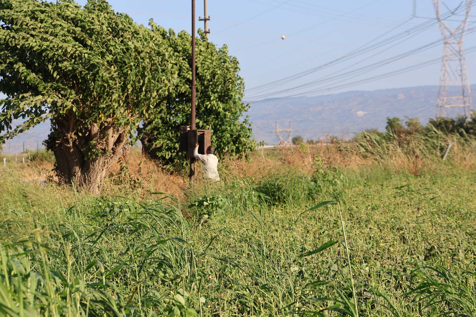 Aydın’da Çiftçi Endişeli, Artık Güneş Doğmadan Tarlaya Gitmeye Başladılar (3)