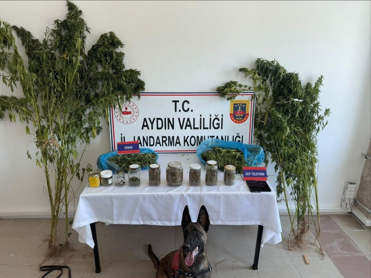 Aydın’da Evi Basıldı, Cezaevine Gönderildi (2)