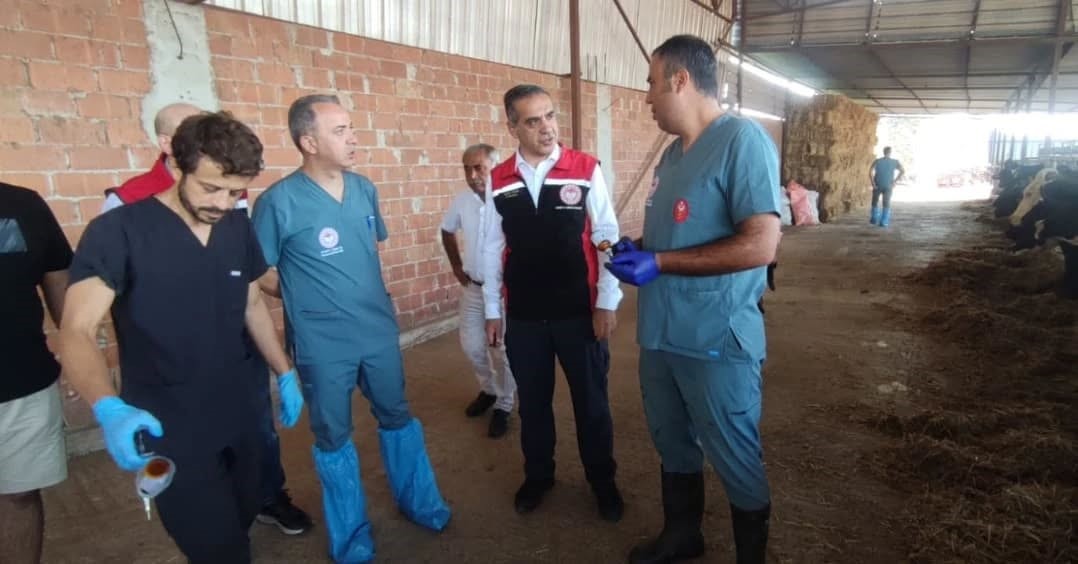 Aydın’da Hayvanlar Aşılanıyor-1