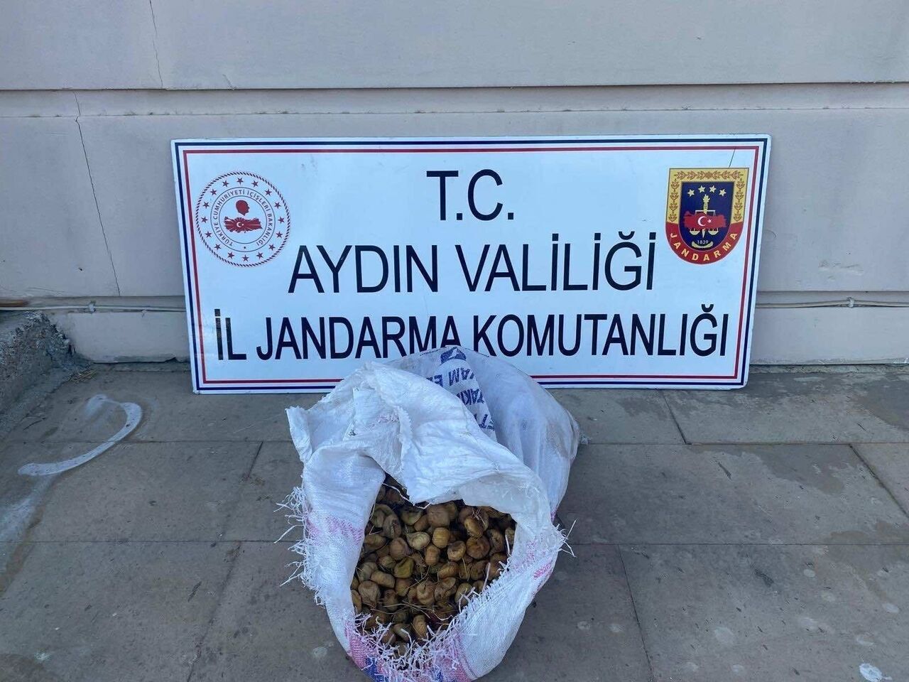 Aydın’da Incir Bahçesinde 3 Kişi Yakalandı