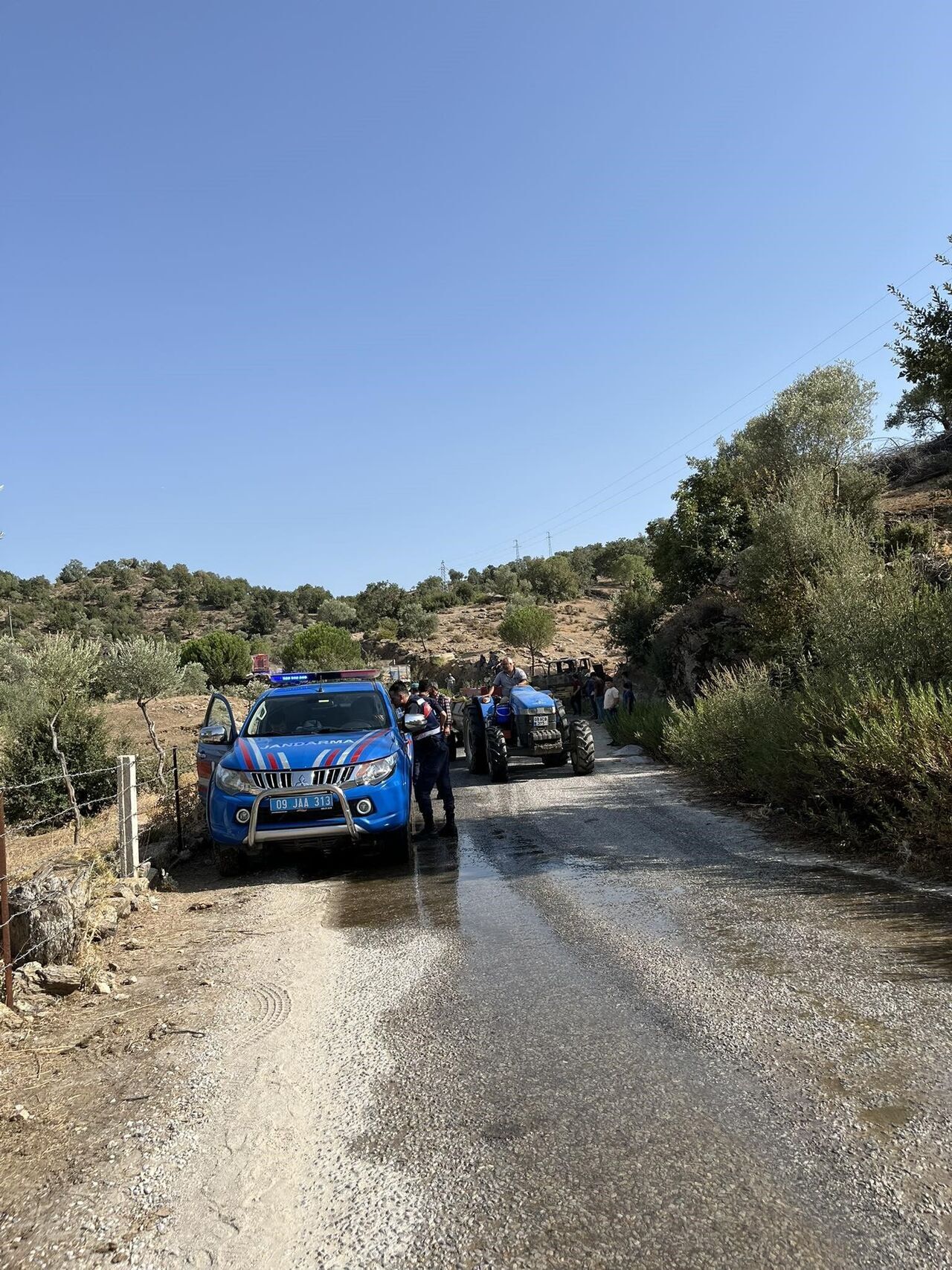 Aydın’da Kamyon Alev Alev Yandı (3)
