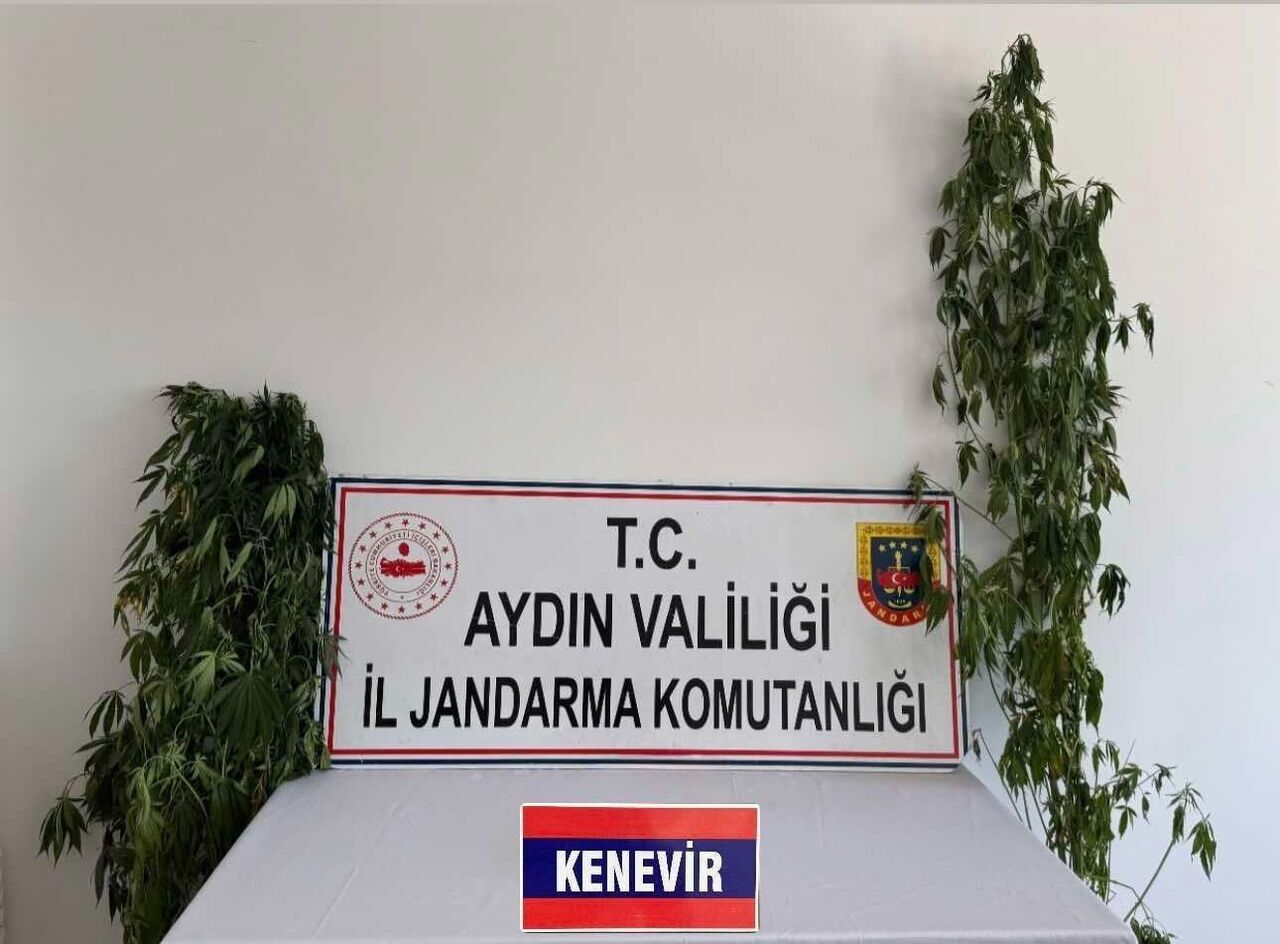 Aydın’da Operasyon 12 Kişi Yakalandı