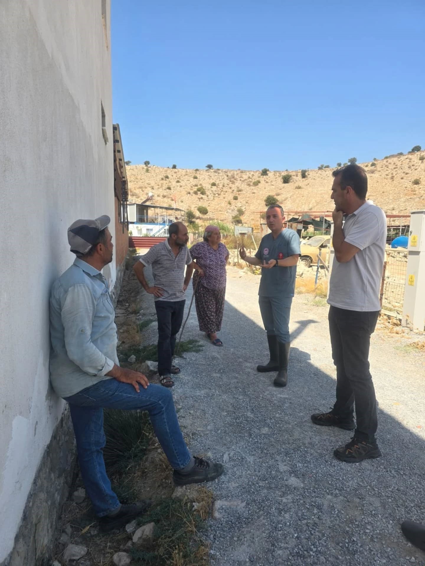 Aydın’da Şap Alarmı (2)