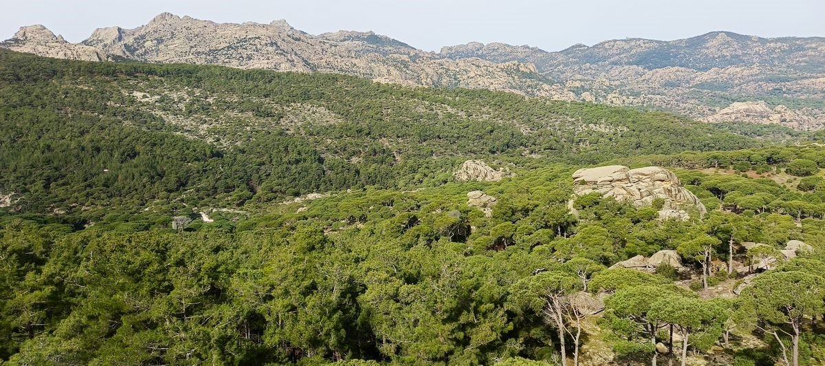 Aydın’da Tespit Edildi, Bölge Koruma Altına Alındı (2)