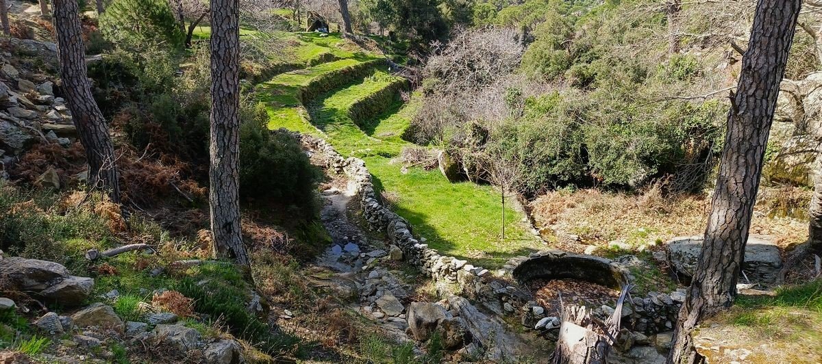 Aydın’da Tespit Edildi, Bölge Koruma Altına Alındı (3)