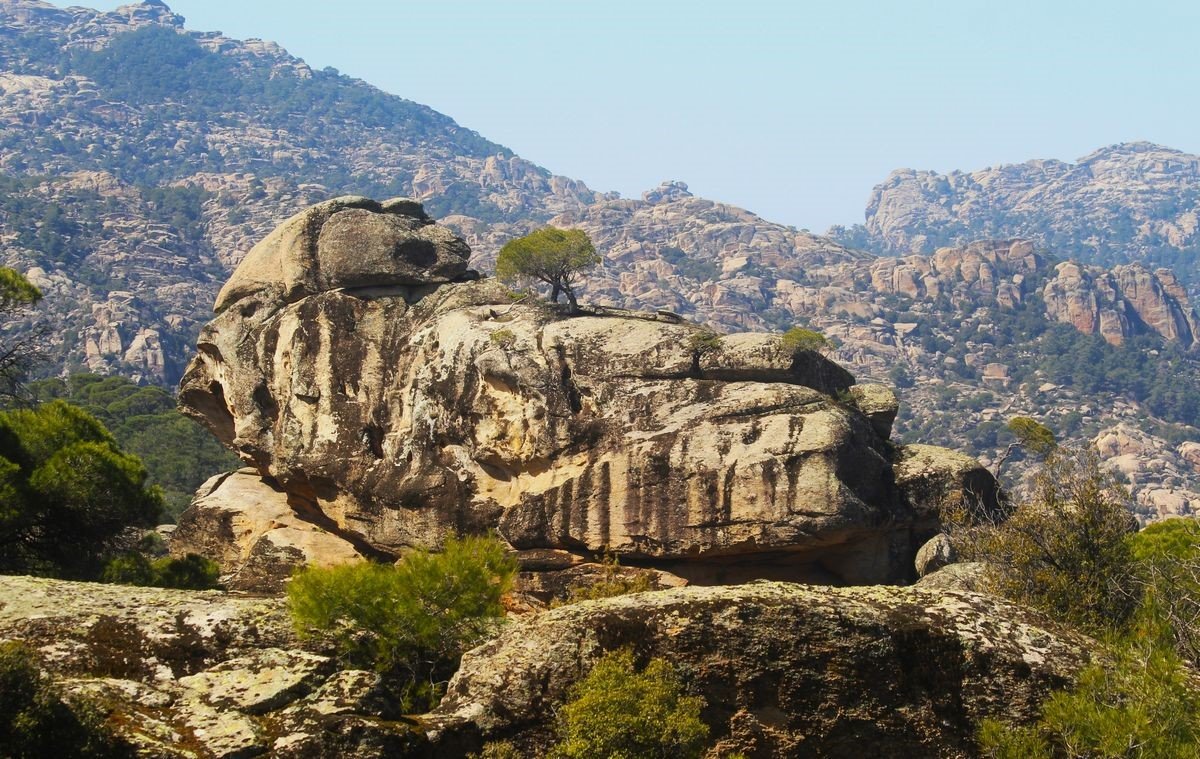 Aydın’da Tespit Edildi, Bölge Koruma Altına Alındı (4)