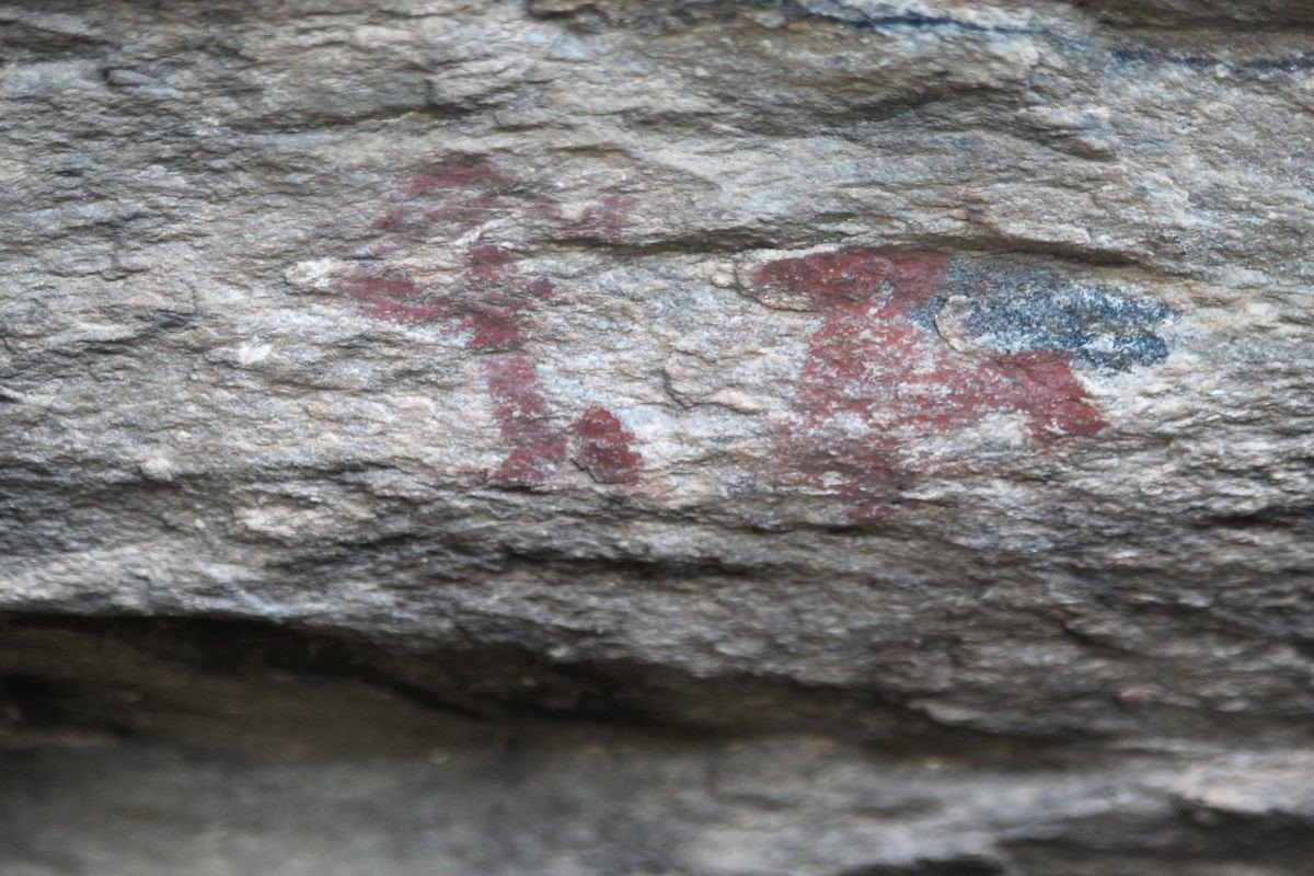 Aydın’da Tespit Edildi, Bölge Koruma Altına Alındı (6)