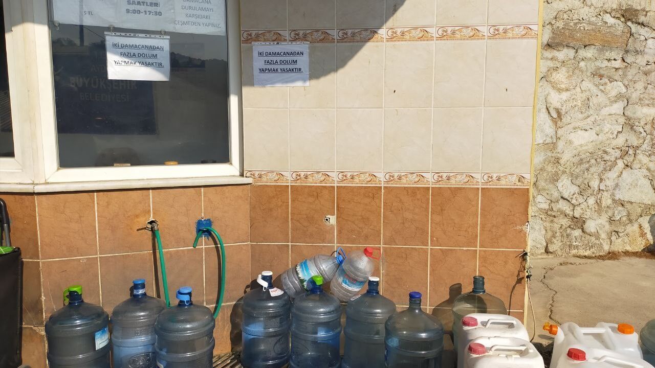 Aydın’da Ucuz Su Kuyruğu (6)