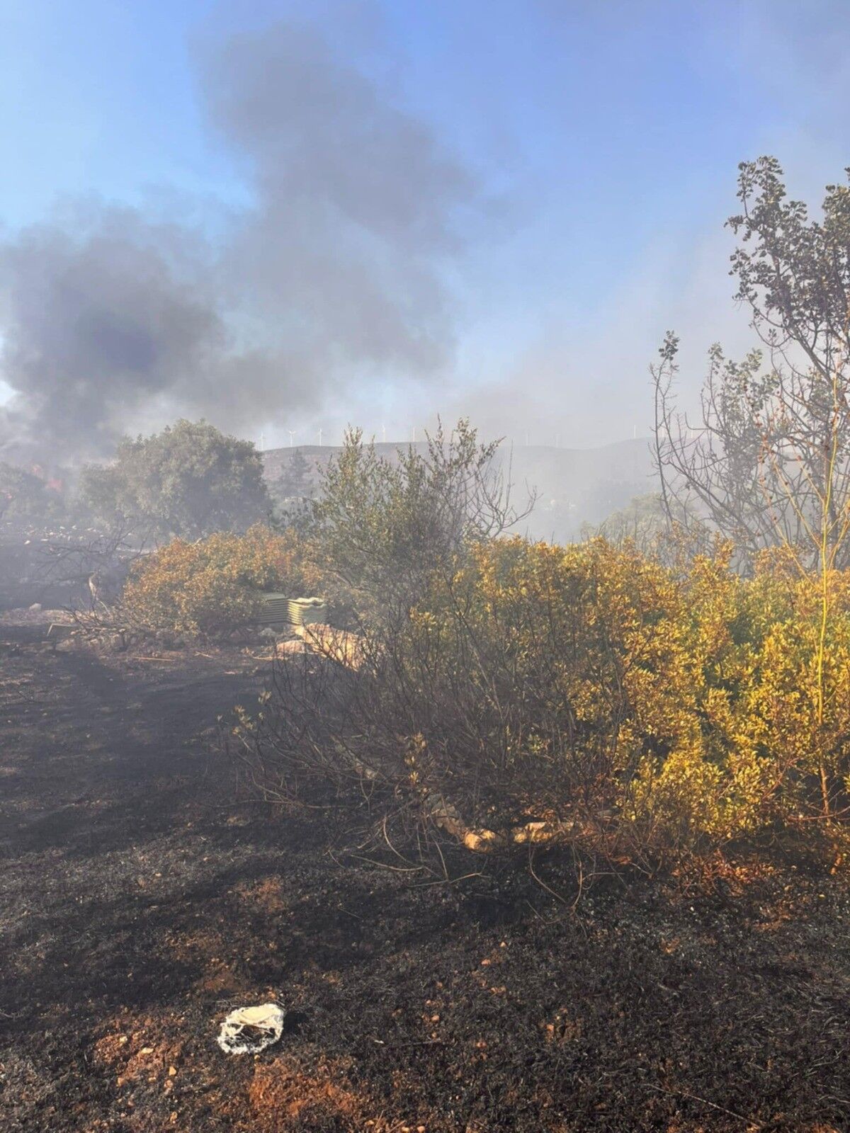 Aydın’da Yangın Çıktı (4)