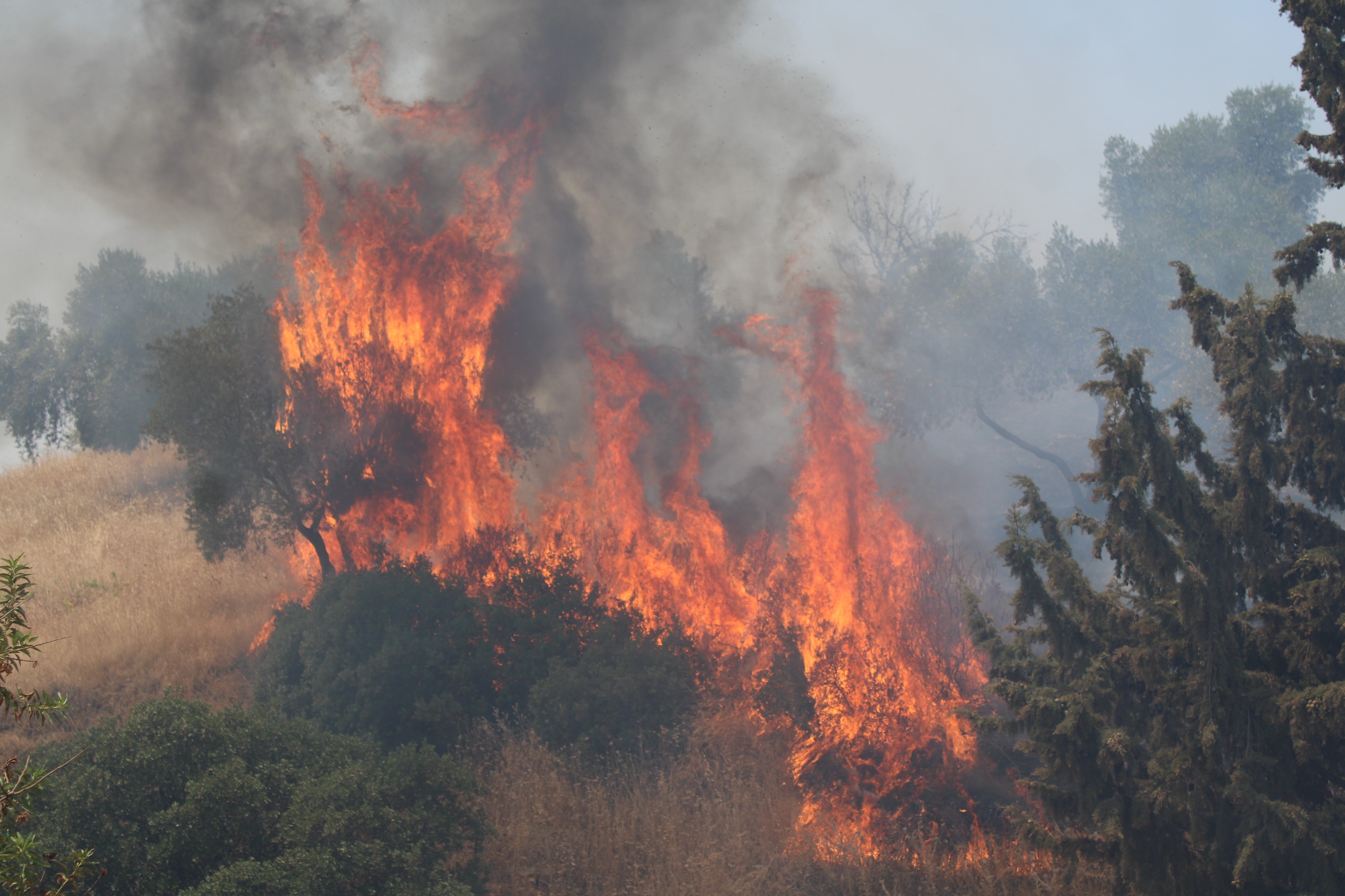 Aydın’da Yaşandı.. Havaya Ateş Açtılar, Yangın Çıkardılar (2)