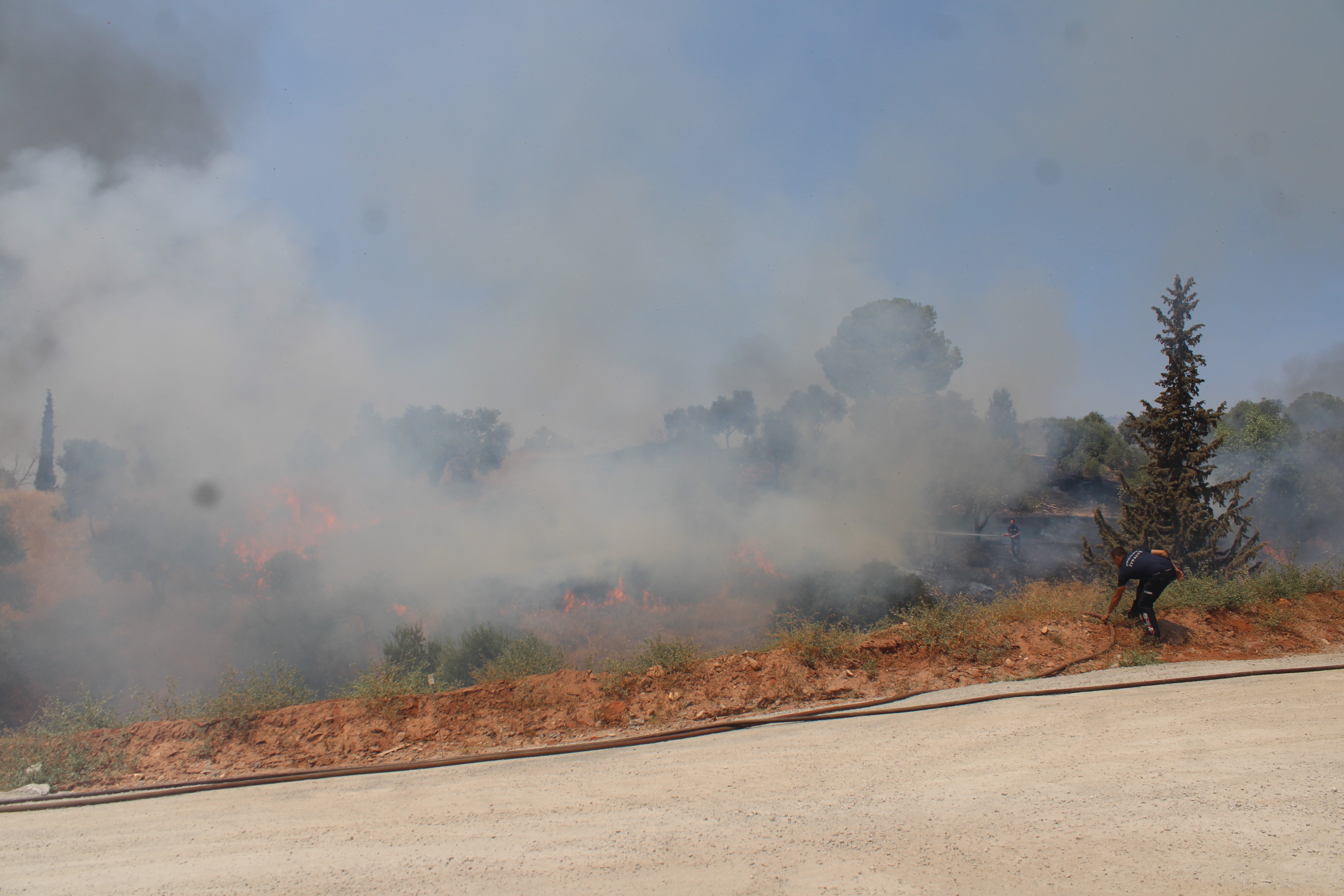 Aydın’da Yaşandı.. Havaya Ateş Açtılar, Yangın Çıkardılar (3)