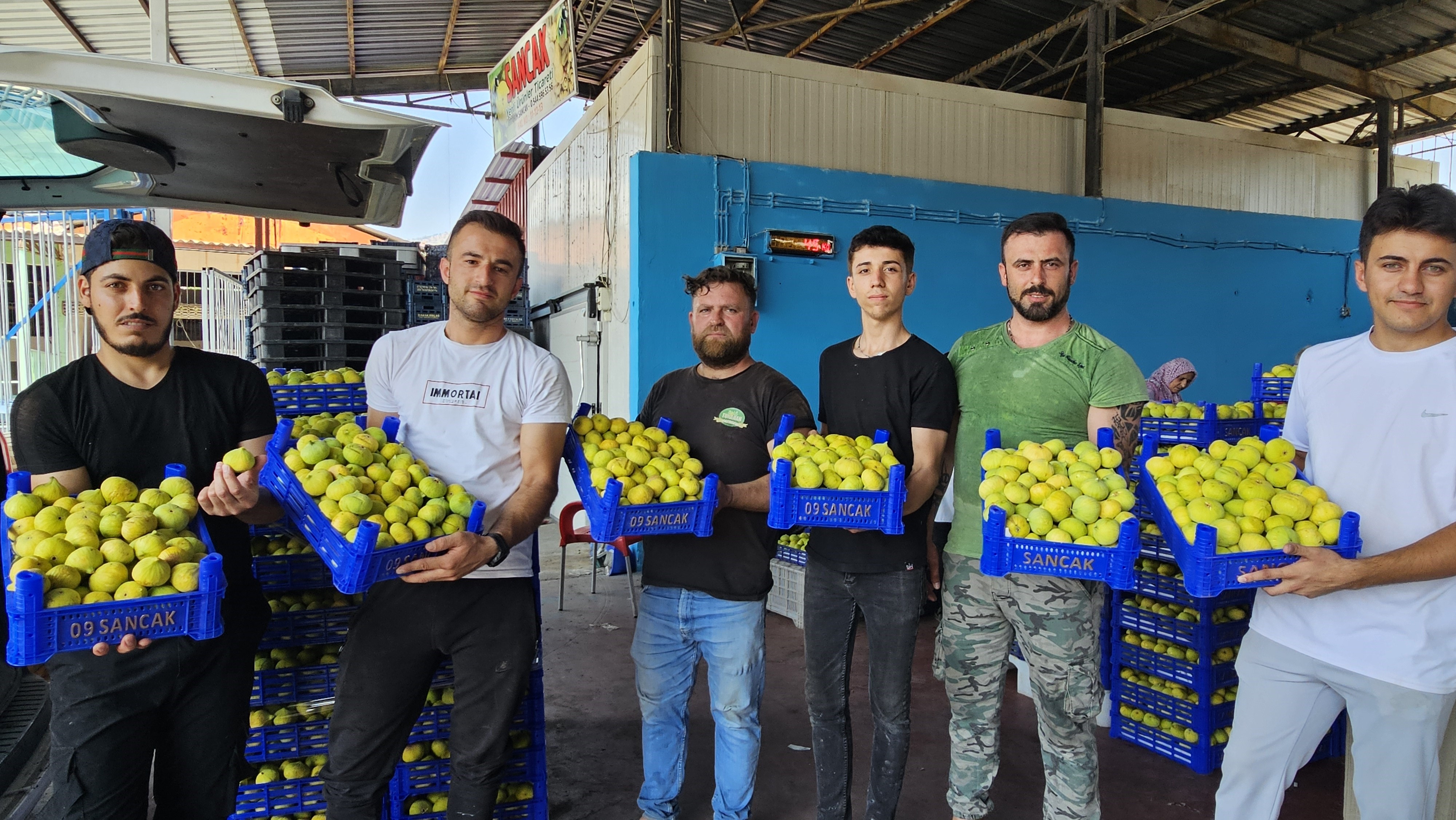 Aydın’ın Damak Çatlatan Lezzeti Taze Incir Sofralarda Yerini Aldı (6)