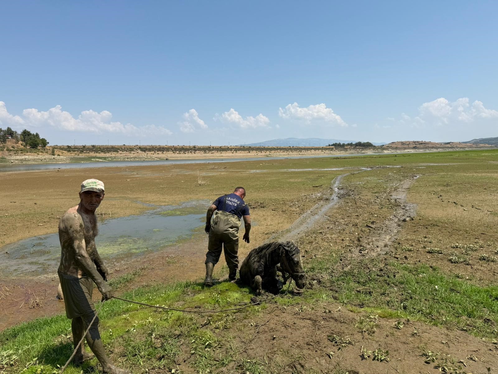 Bataklıkta Can Pazarı.. Hem Katırları Hem De Kendisi Battı (3)