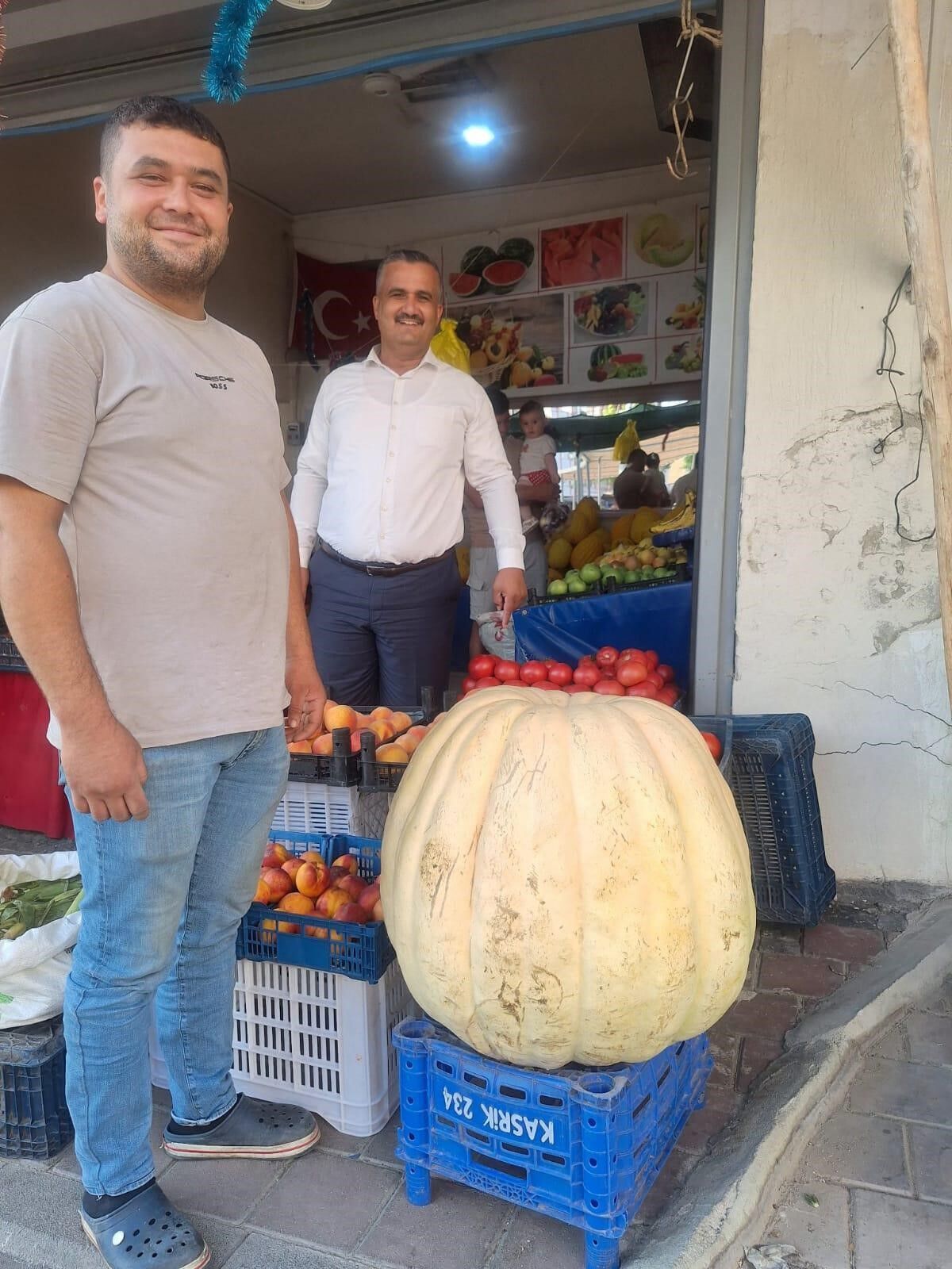 Dev Bal Kabağını Görenler Şaştı Kaldı (3)