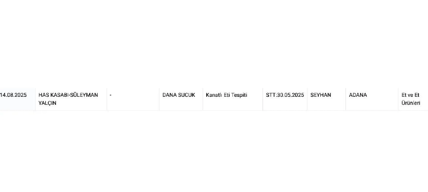 Ekran Görüntüsü 2025 08 22 133818