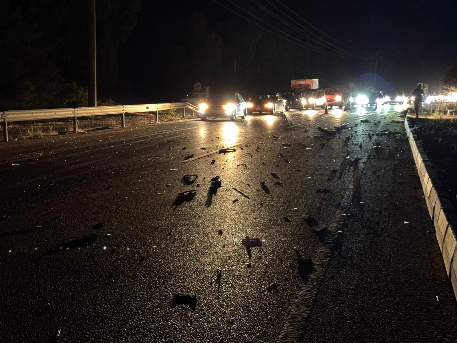 Genç Yaşta Yaşamını Yitirdi (2)