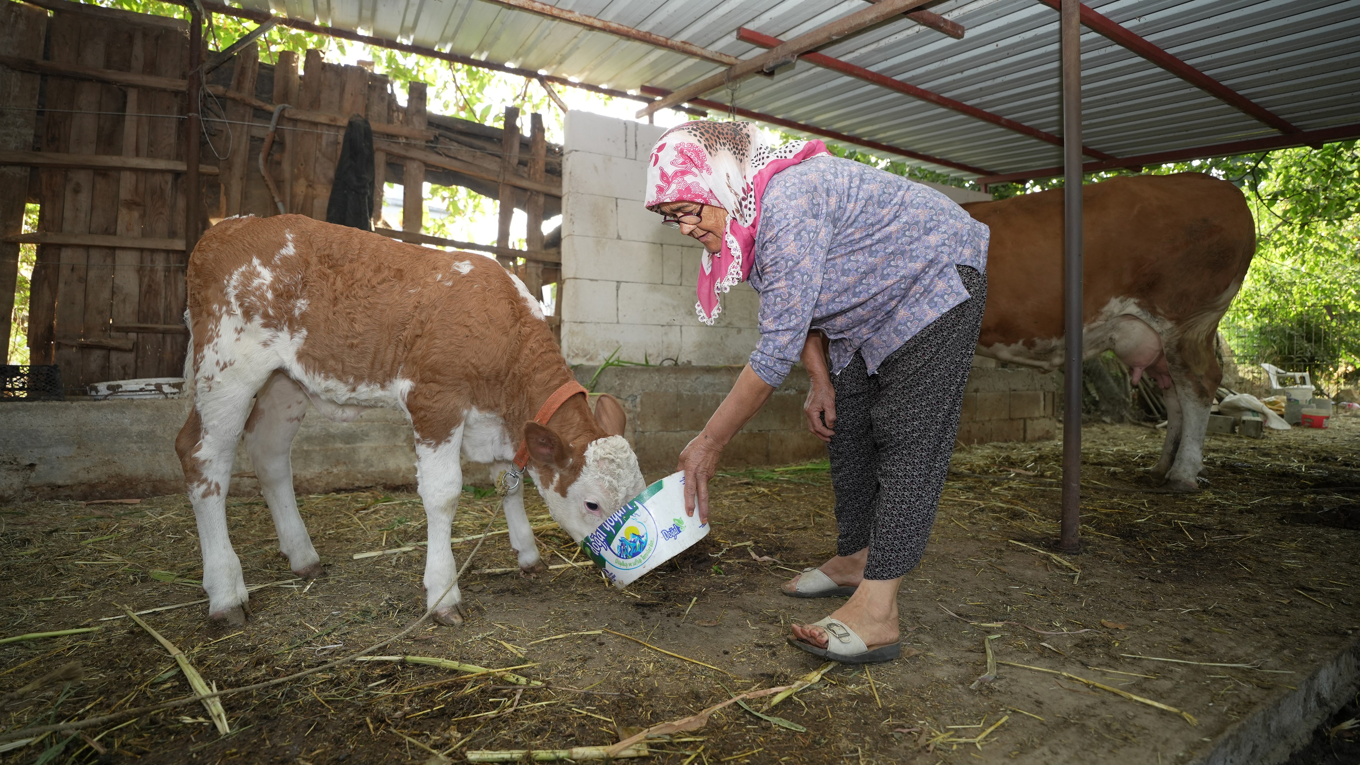 Kim Milyoner Olmak Ister Yarışmasında 500 Bin Lira Kazanan Günay Teyze Açıklama Yaptı (8)