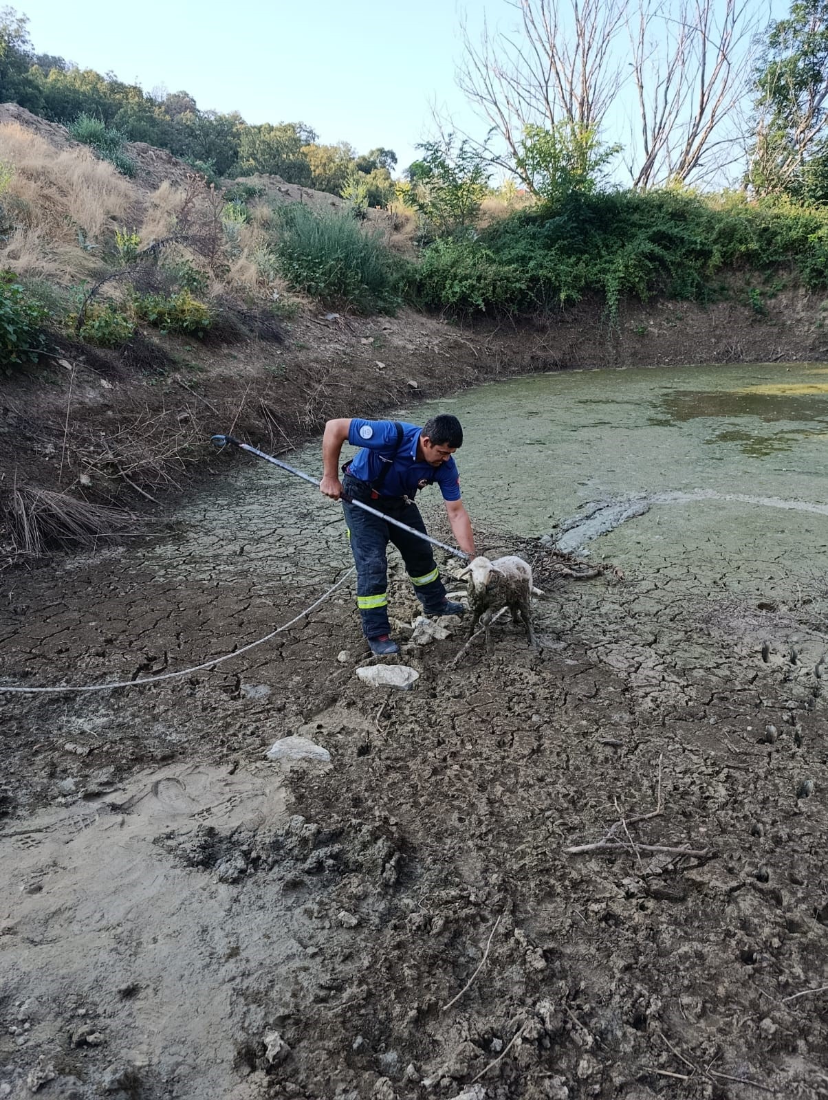 Kuzusu Balçığa Saplandı, Kurtarılınca Gözyaşlarına Boğuldu (3)