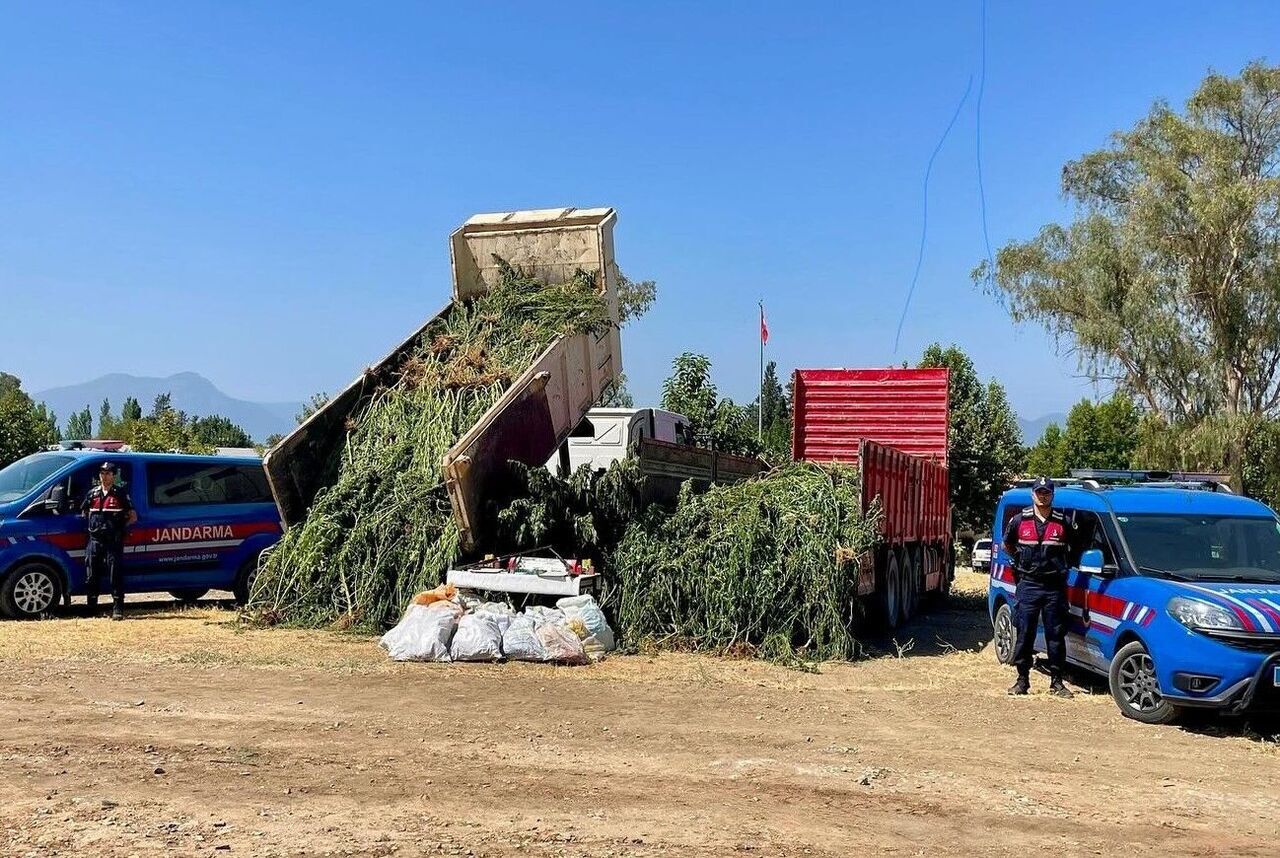 Mısır Tarlası Sanıldı, Gerçek Bambaşka Çıktı (3)