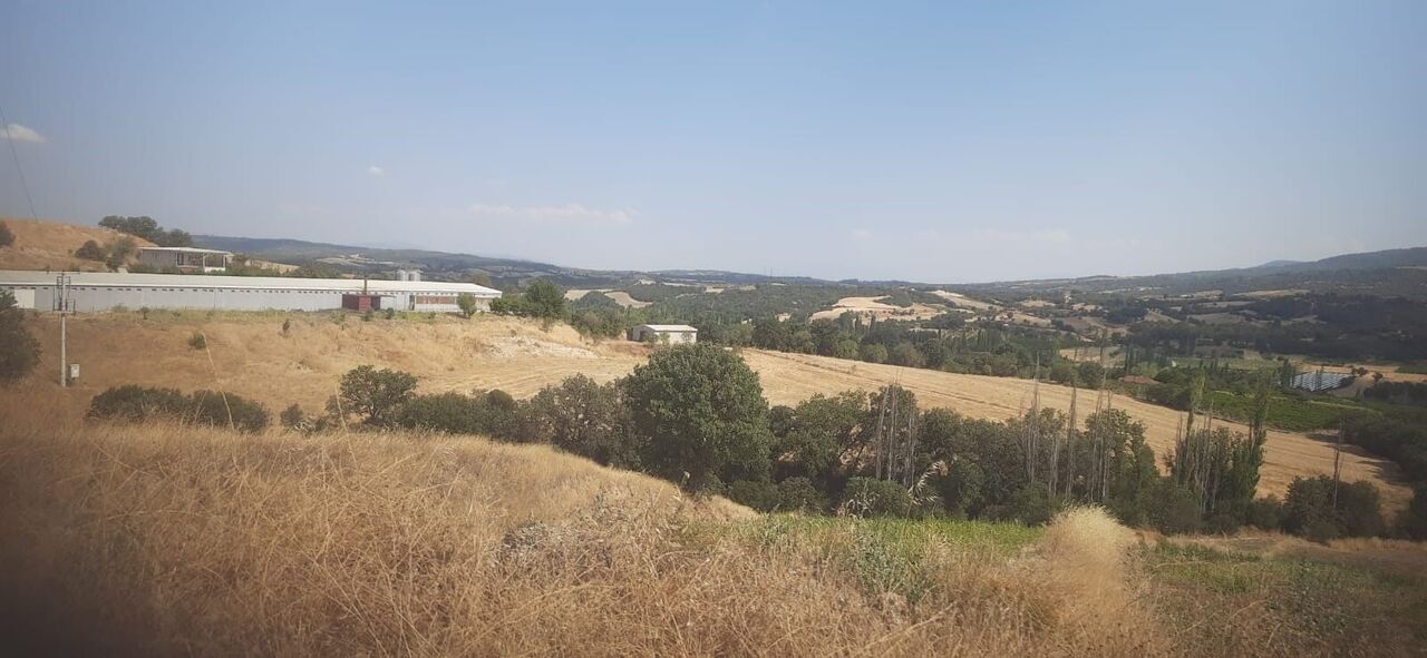 Parke Taşı Ortalığı Karıştırdı (2)