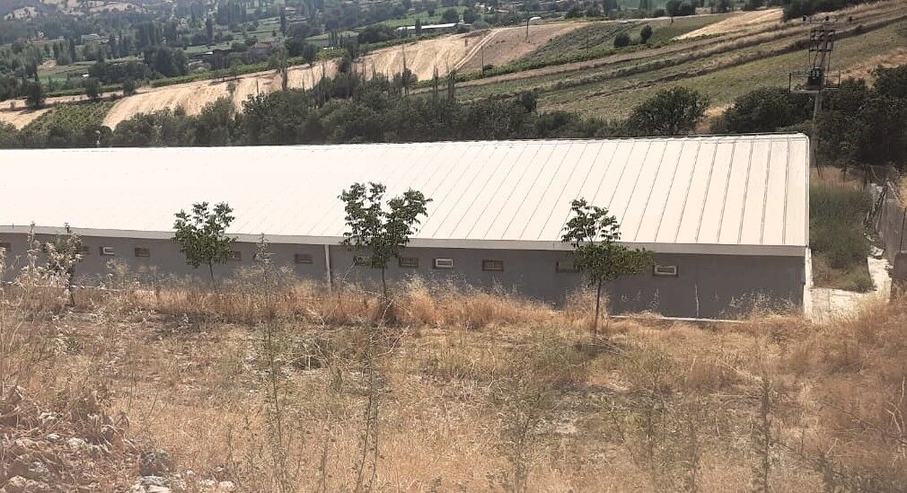 Parke Taşı Ortalığı Karıştırdı (3)