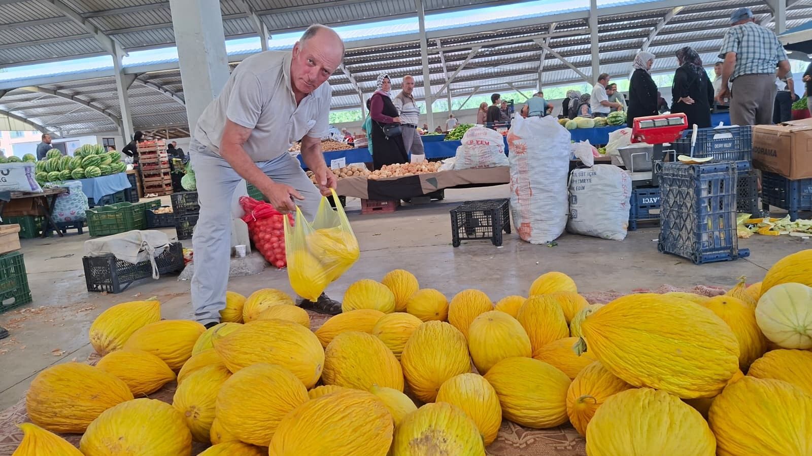 Yerli Kavun Tezgahta Yerini Aldı (2)