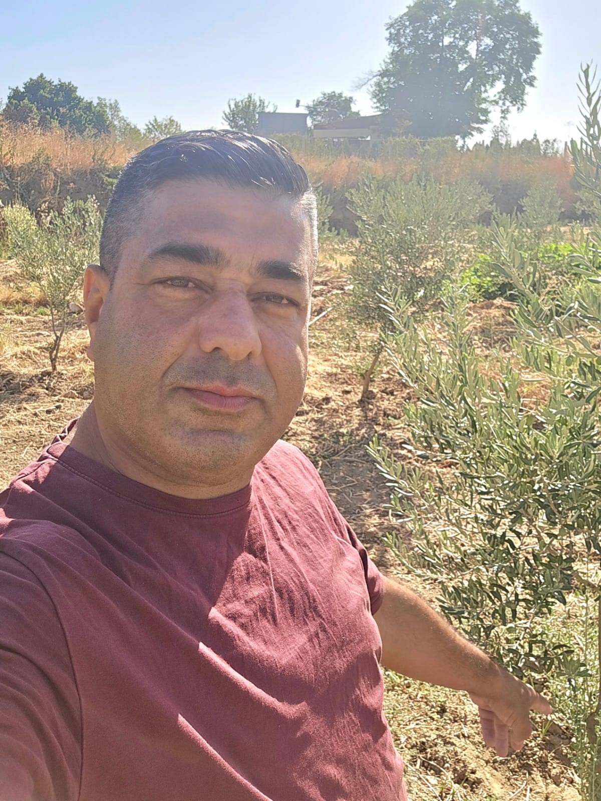 Zeytin Bahçesinde Buldu, Hemen Ekiplere Haber Verdi (3)