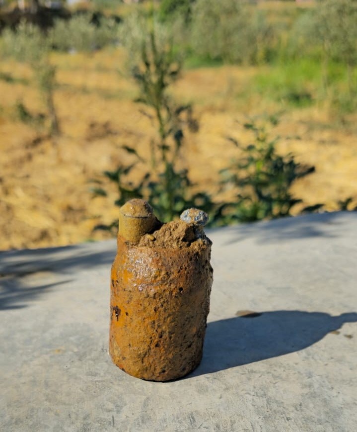 Zeytin Bahçesinde Buldu, Hemen Ekiplere Haber Verdi (4)