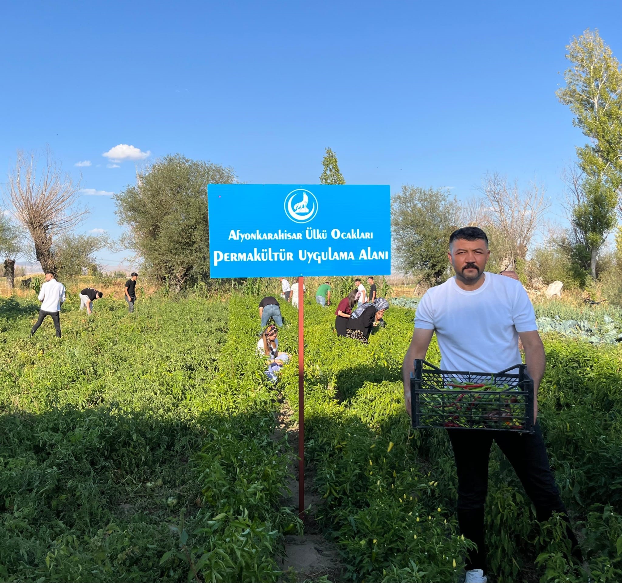 100 Yılık Ata Tohumuyla Ilk Hasat Yapıldı (3)
