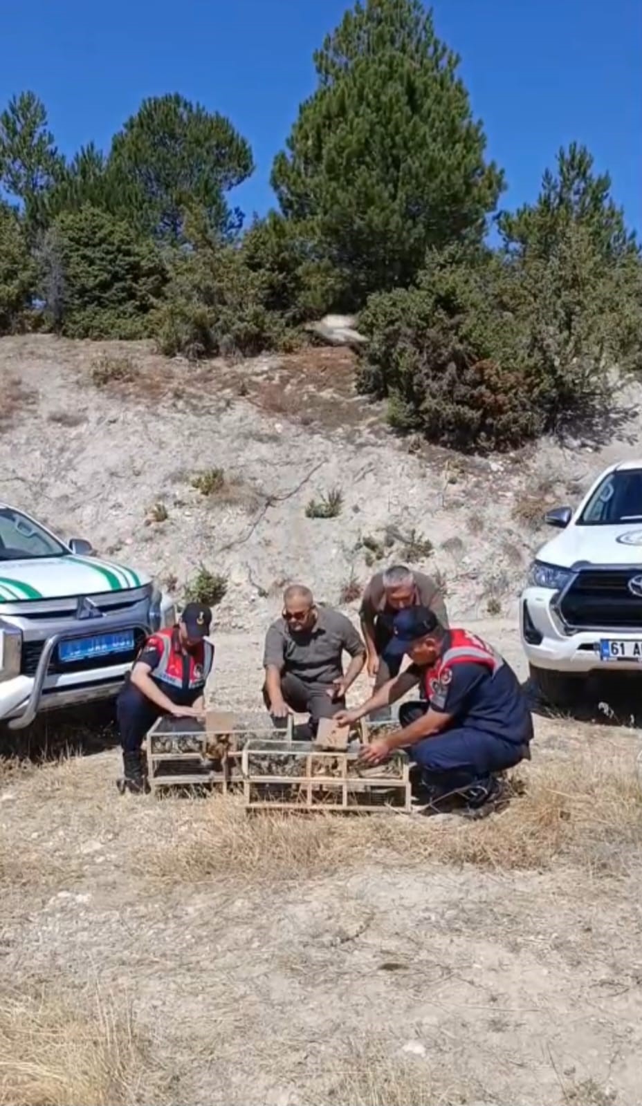 142 Saka Kuşu Ele Geçirildi (2)