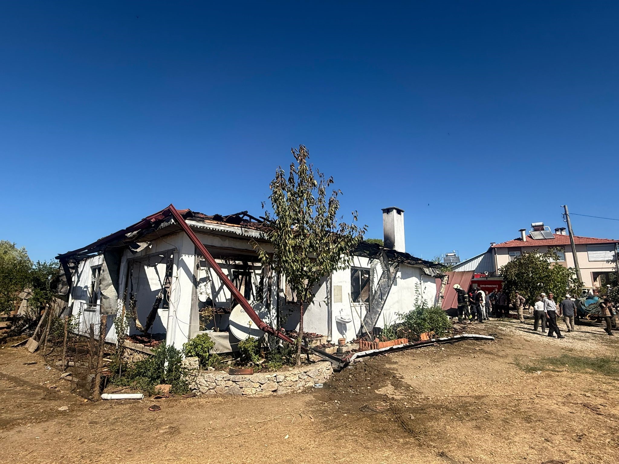 3 Hayvan Telef Oldu (2)