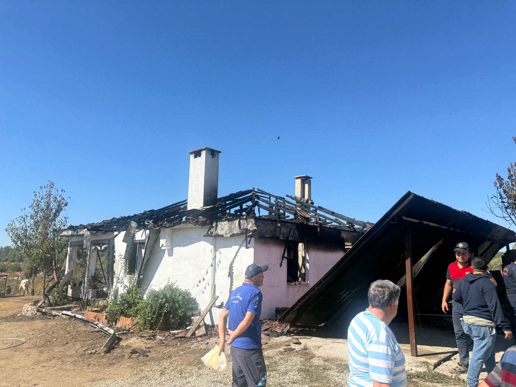 3 Hayvan Telef Oldu (3)