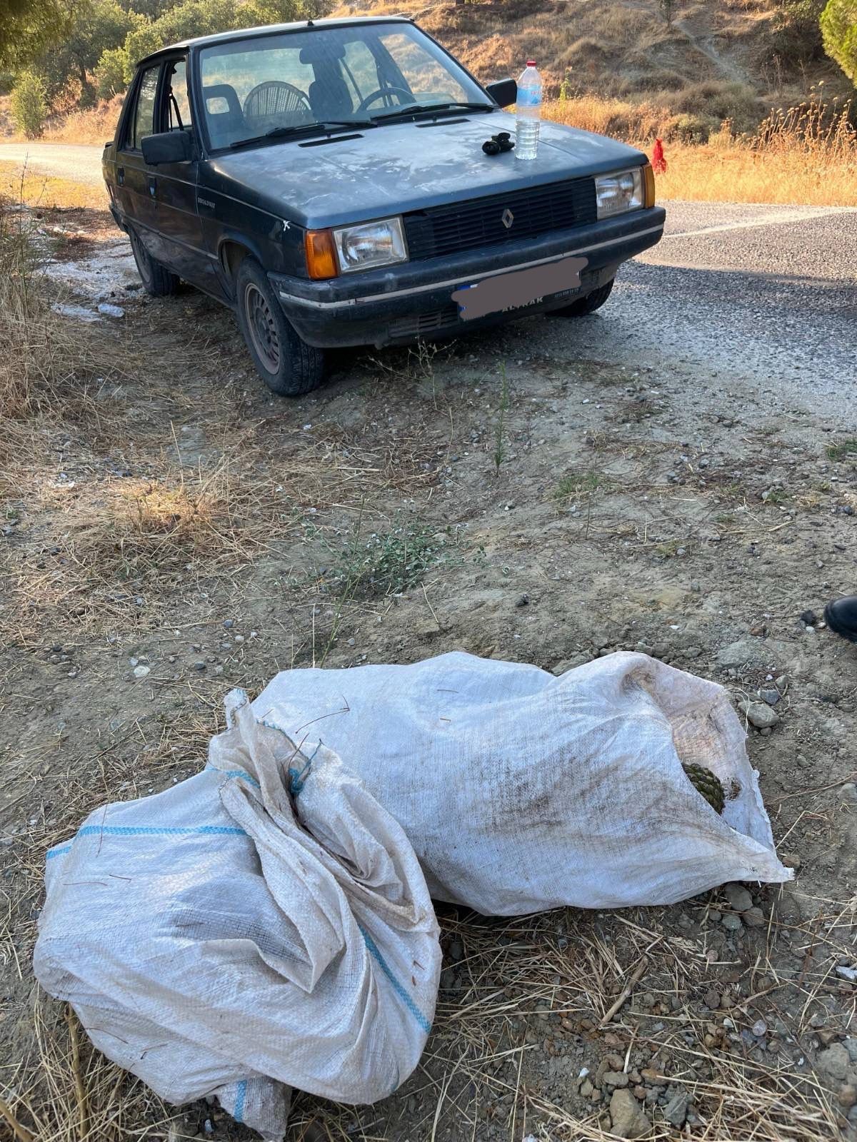 95 Kilo Çam Fıstığı Çalmışlar (3)