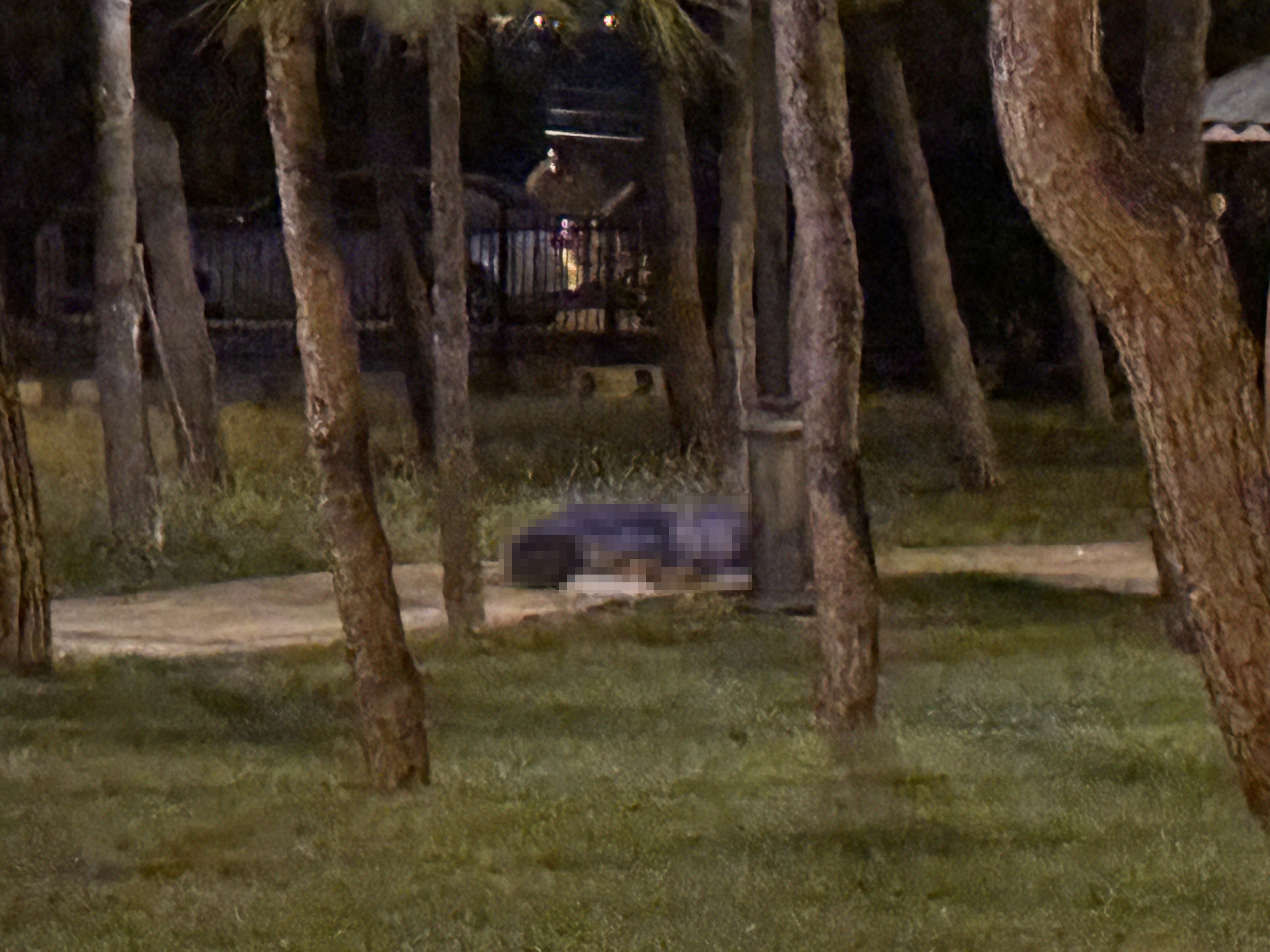 Ağaçların Arasında Cansız Bedeni Bulundu (2)