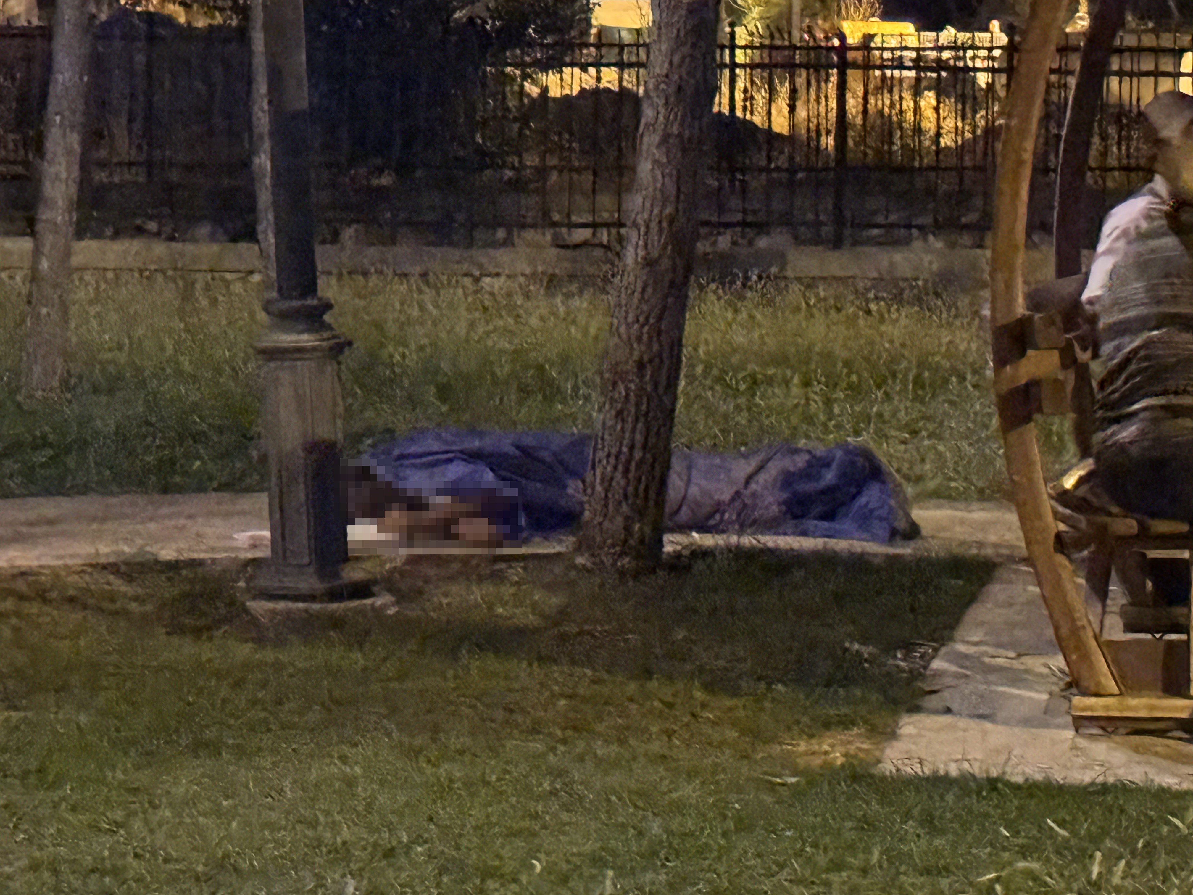 Ağaçların Arasında Cansız Bedeni Bulundu (4)