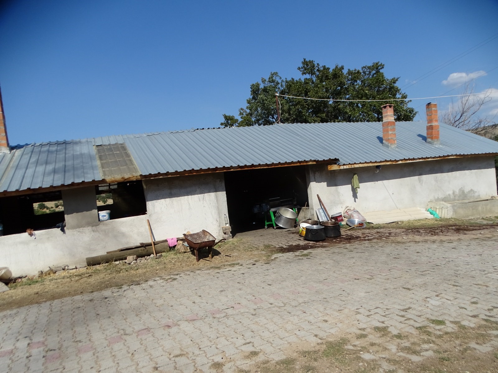 Asırlardır Doğal Yöntemle Üretiyorlar (3)