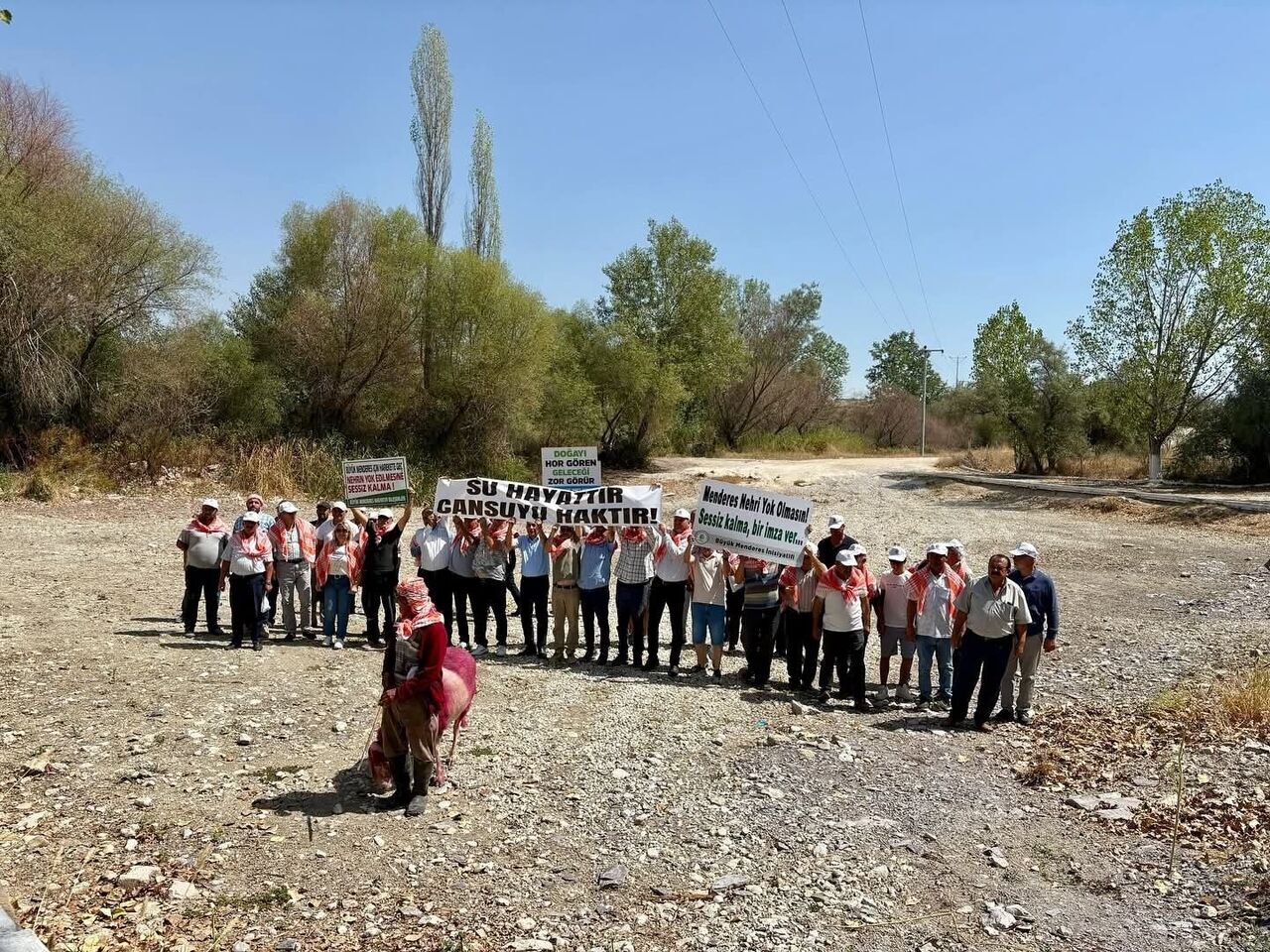 Asırlık Geleneğe Kuraklık Engeli.. Kınalı Koyunlar Suya Değil, Kurumuş Toprağa Atladı (2)