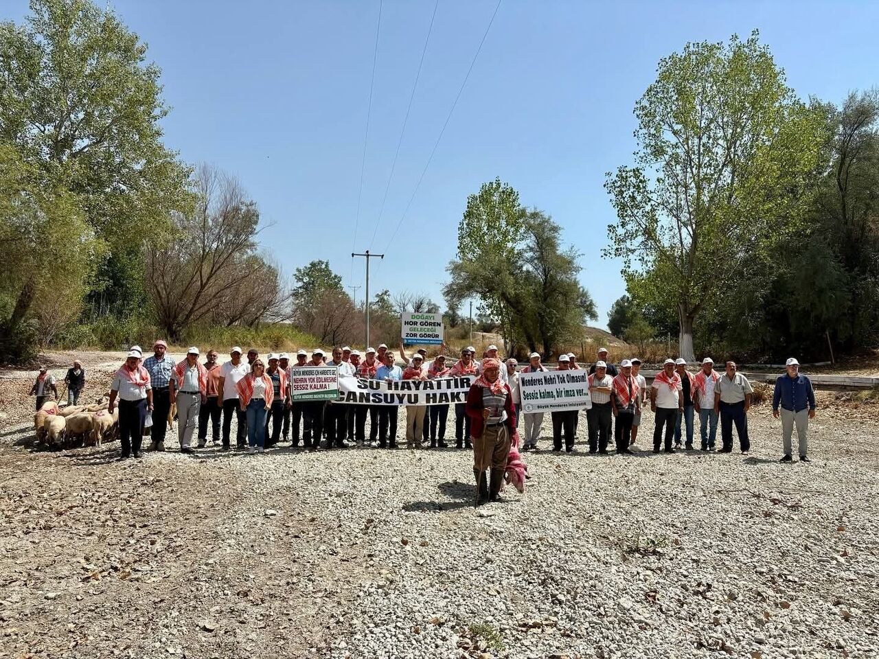Asırlık Geleneğe Kuraklık Engeli.. Kınalı Koyunlar Suya Değil, Kurumuş Toprağa Atladı (3)