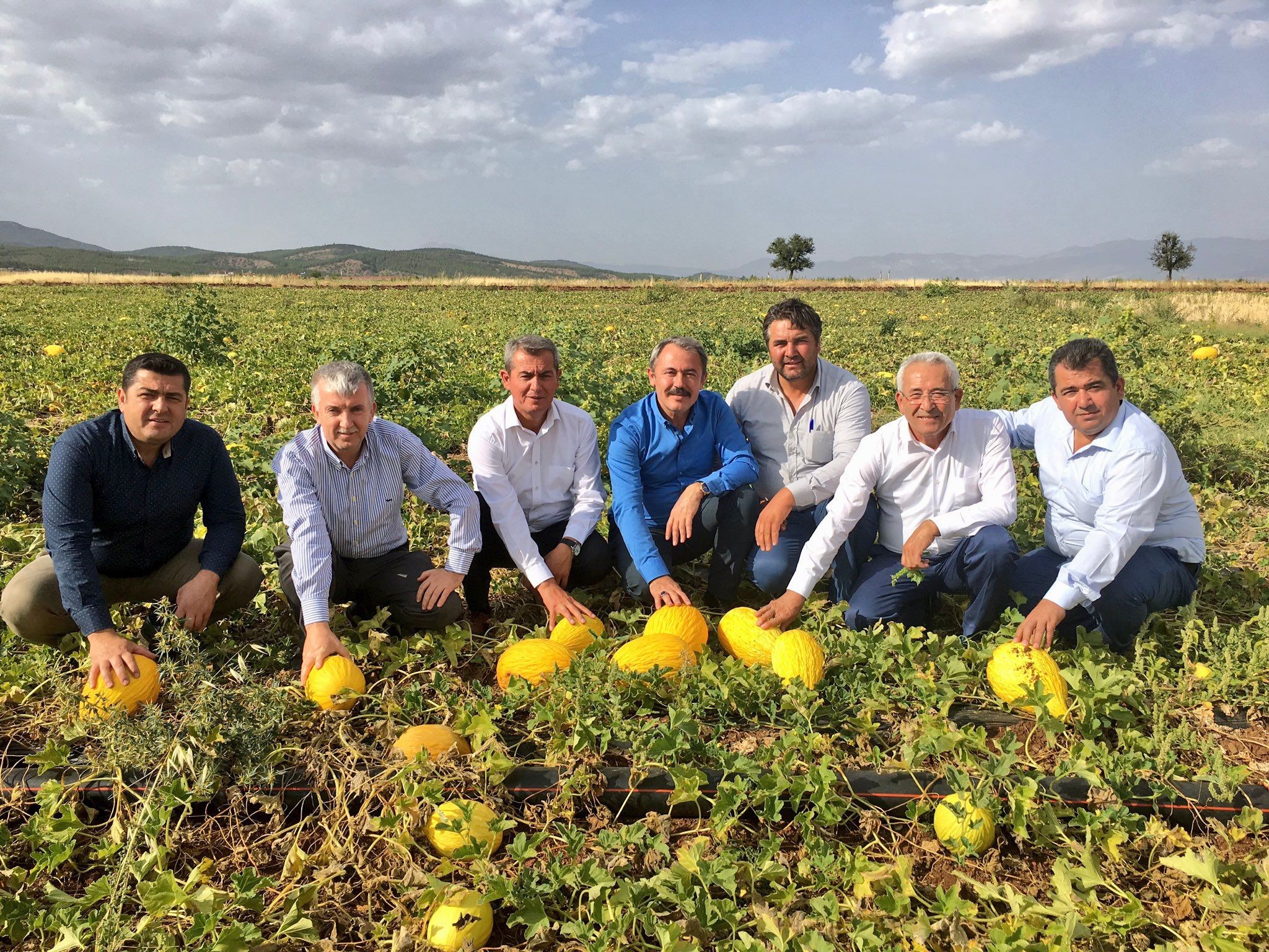Asırlık Miras Kavunda Yeni Gelişme