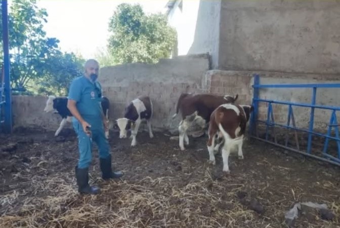 Aydın’a Şap Hastalığı Uyarısı Geldi (4)