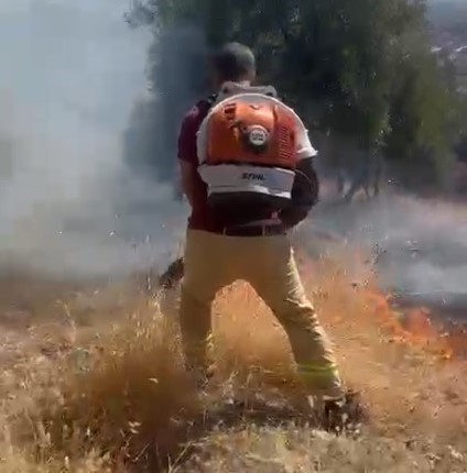 Aydın’da 30 Dönüm Küle Döndü (6)