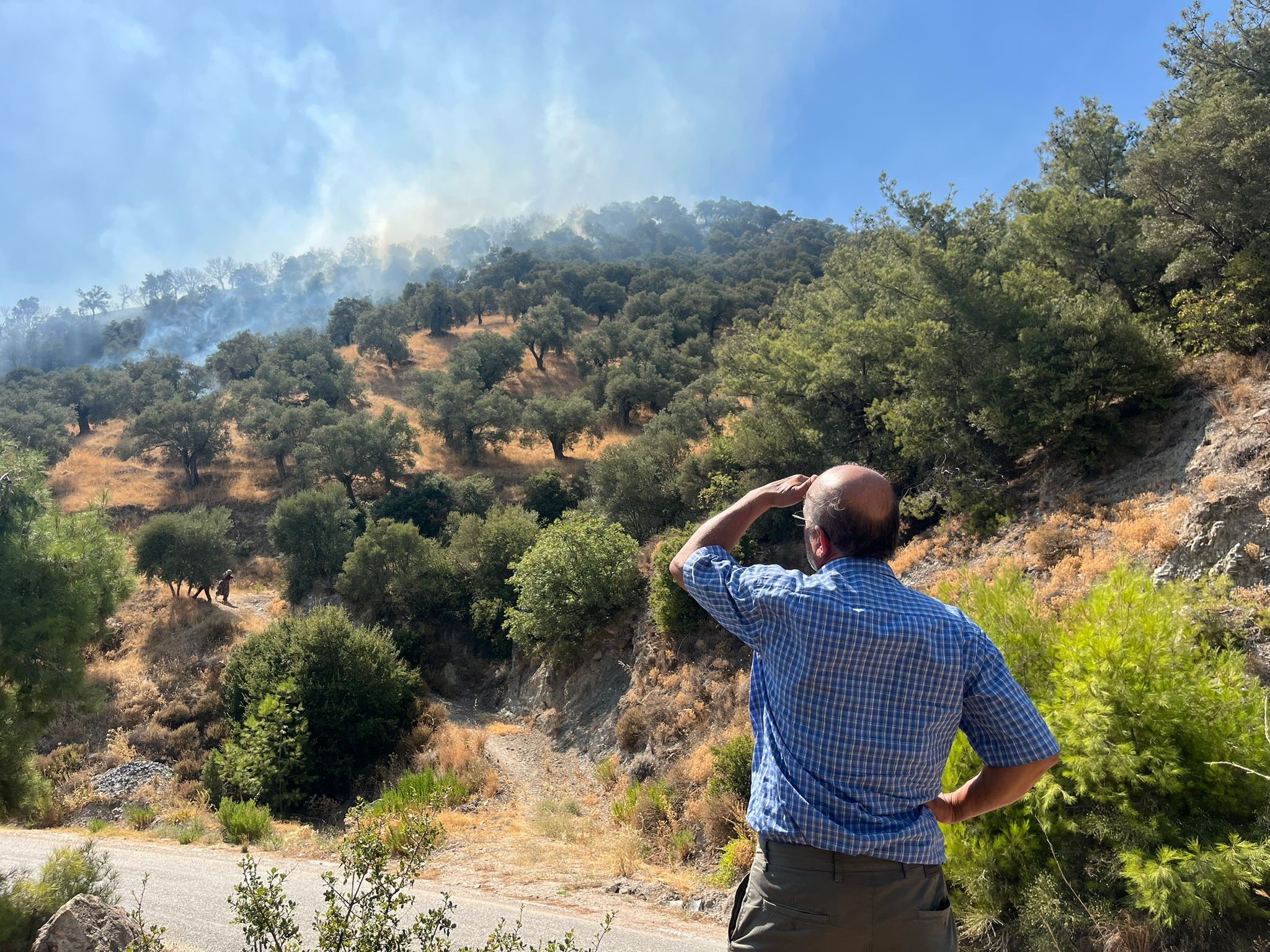 Aydın’da 30 Dönüm Küle Döndü