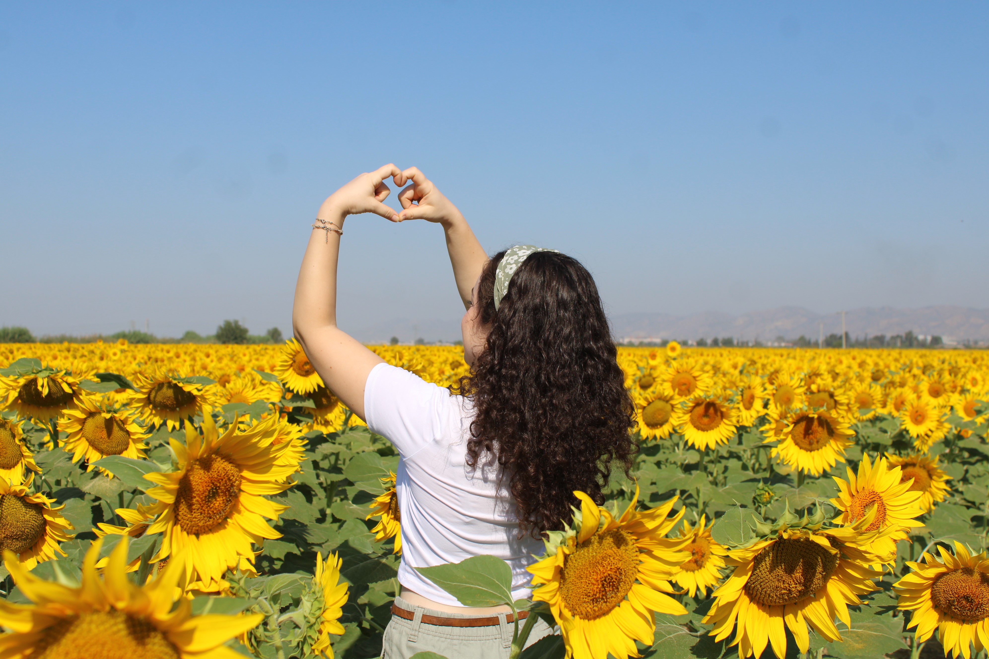 Aydın’da Arabaları Durduran Manzara (2)