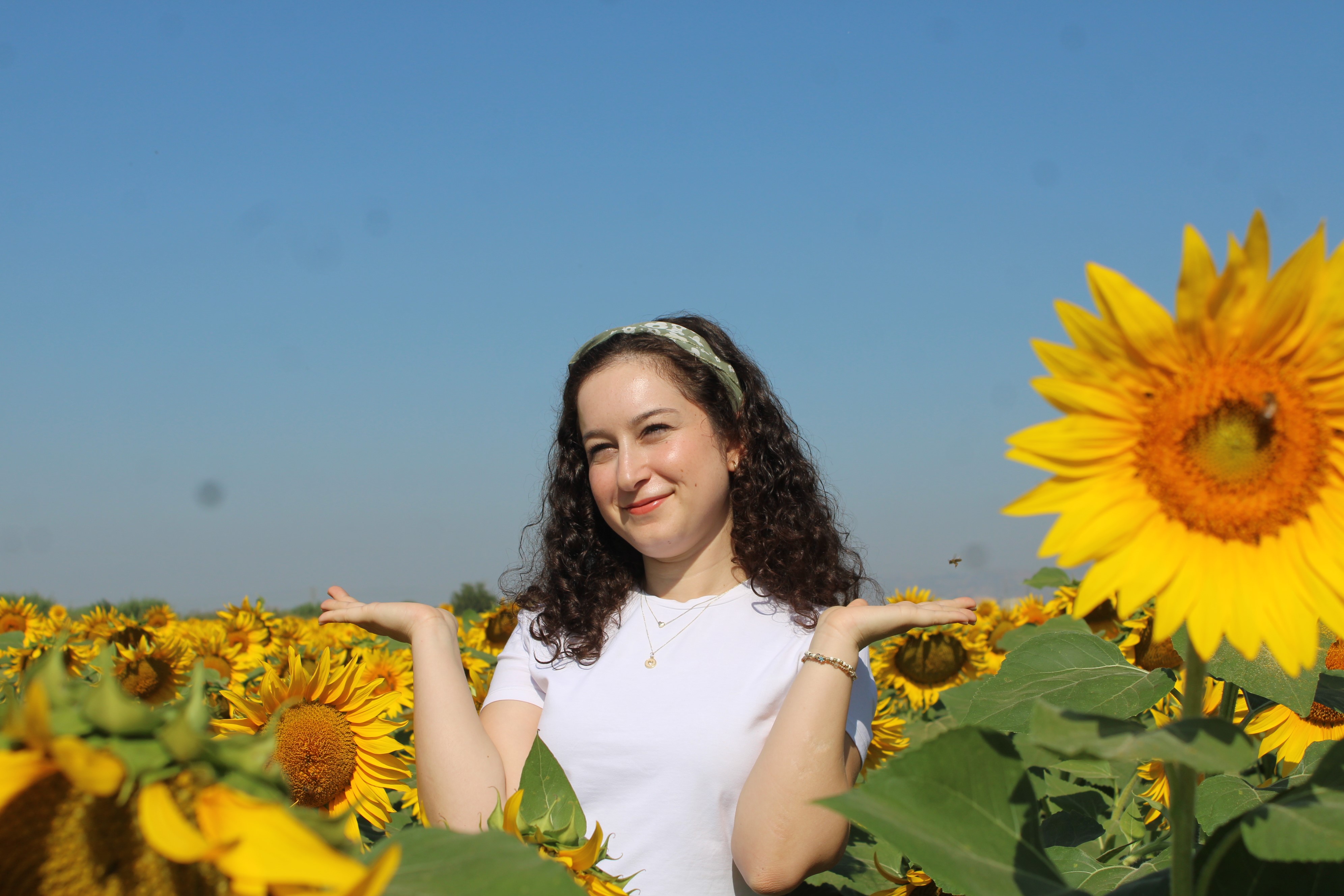 Aydın’da Arabaları Durduran Manzara