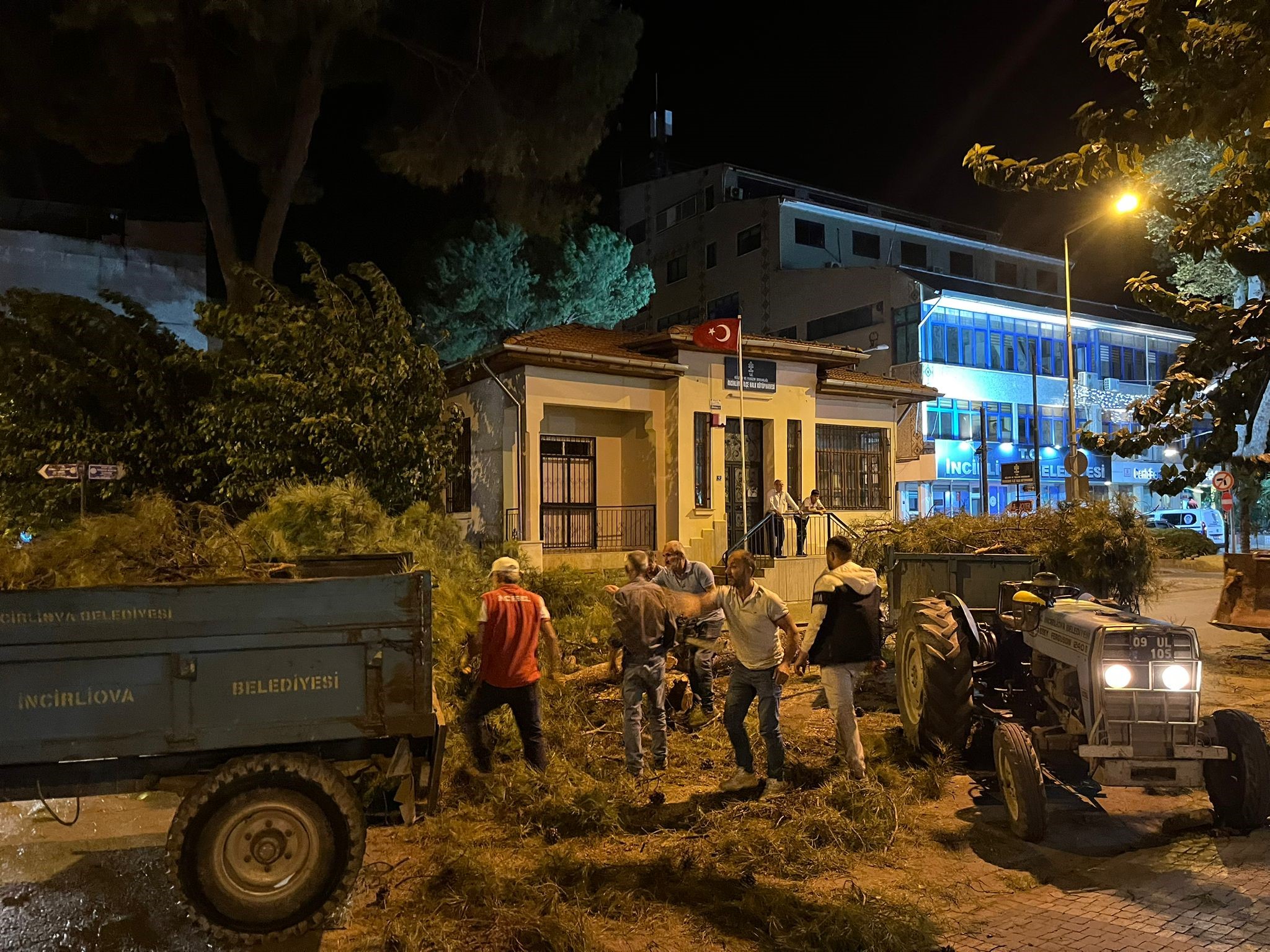 Aydın’da Çam Devrildi (4)