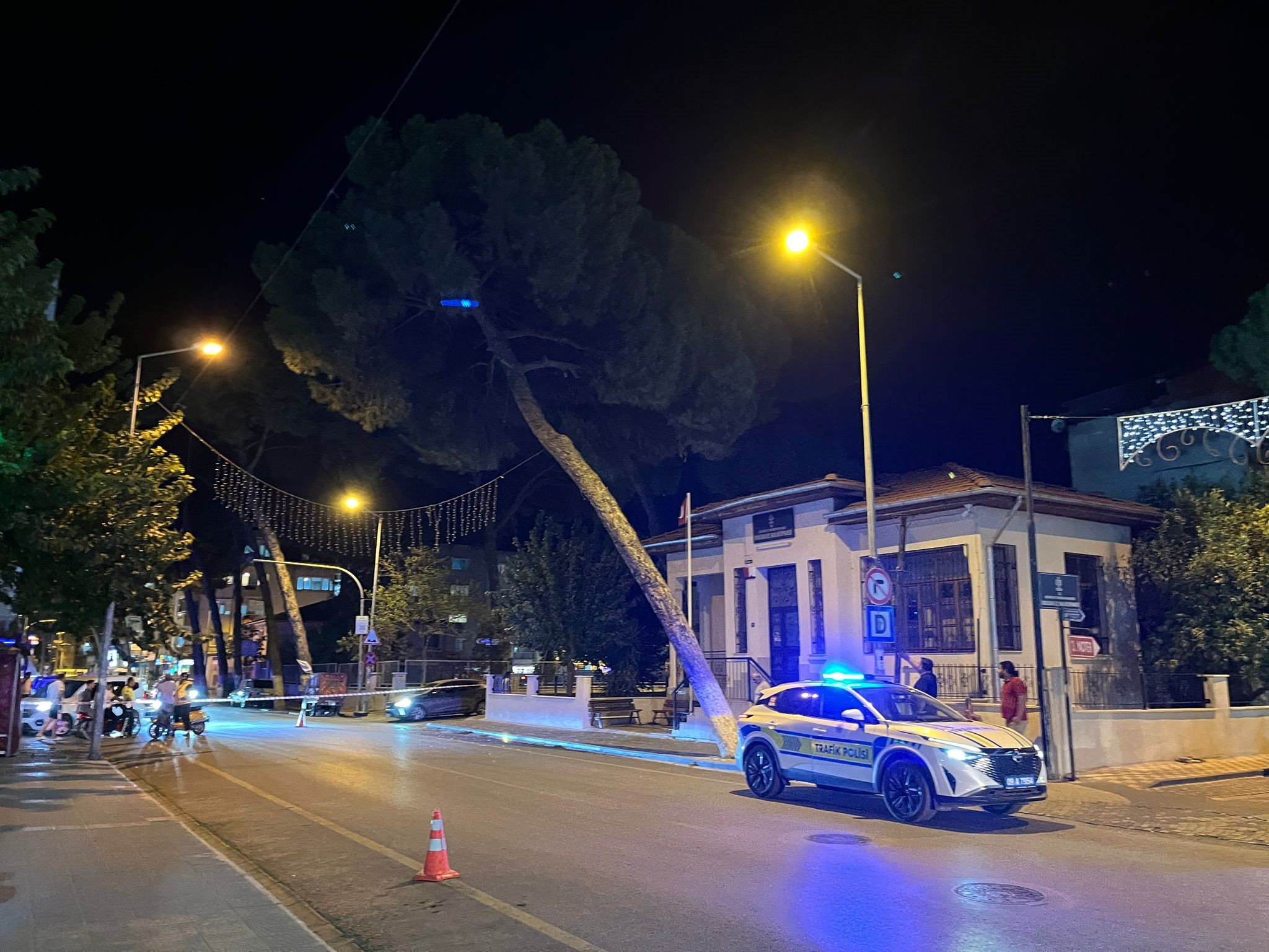 Aydın’da Çam Devrildi