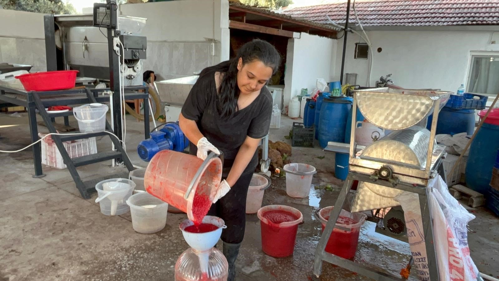 Aydın’da Kamu Yönetimi Okudu, Köye Dönüp Salça Yapmaya Başladı (2)
