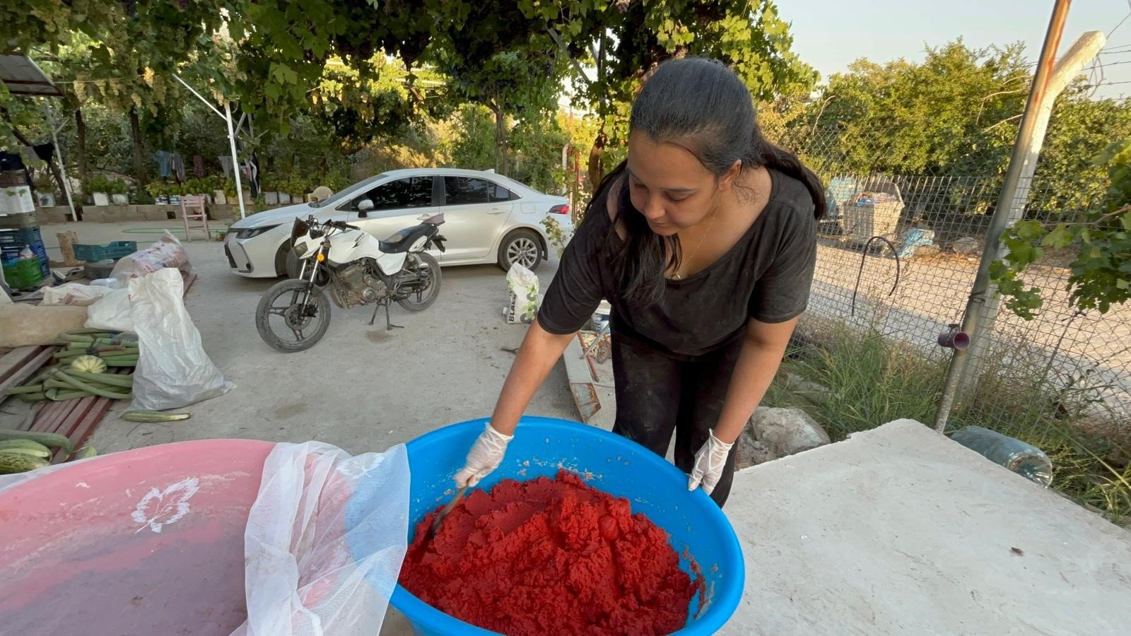 Aydın’da Kamu Yönetimi Okudu, Köye Dönüp Salça Yapmaya Başladı (3)