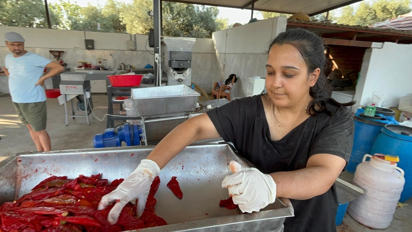 Aydın’da Kamu Yönetimi Okudu, Köye Dönüp Salça Yapmaya Başladı